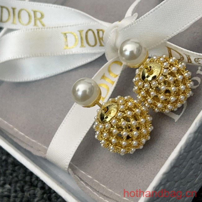 Dior Earrings CE13032