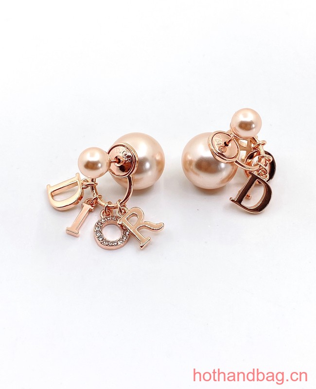 Dior Earrings CE13047