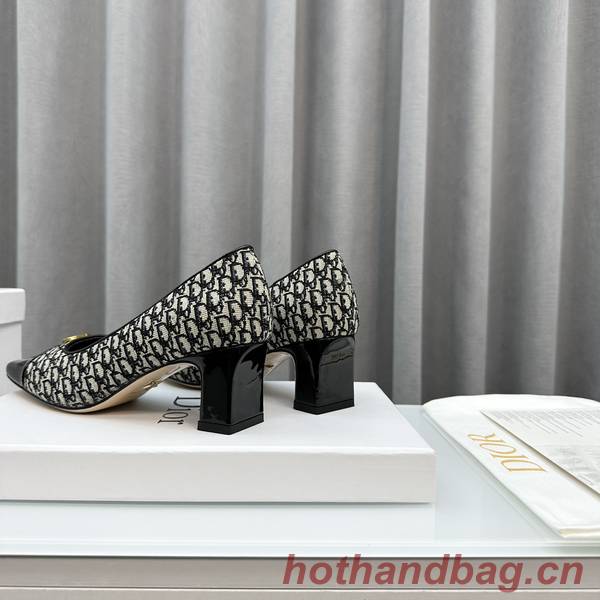 Dior Shoes DIS00251
