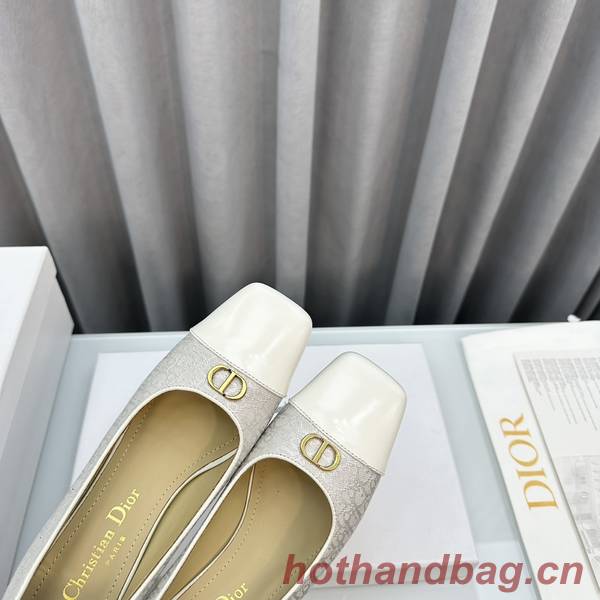 Dior Shoes DIS00252