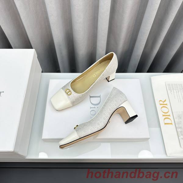 Dior Shoes DIS00252