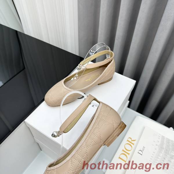 Dior Shoes DIS00253