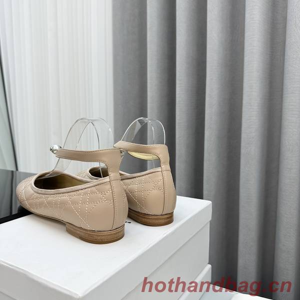 Dior Shoes DIS00253