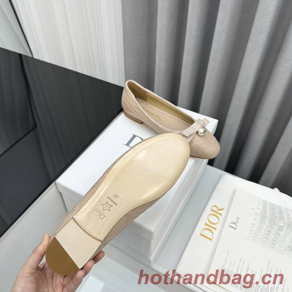 Dior Shoes DIS00255