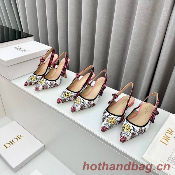 Dior Shoes DIS00307