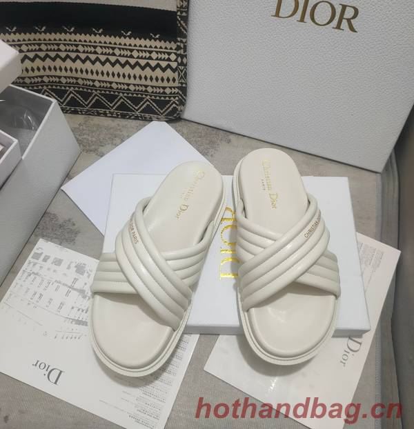 Dior Shoes DIS00309