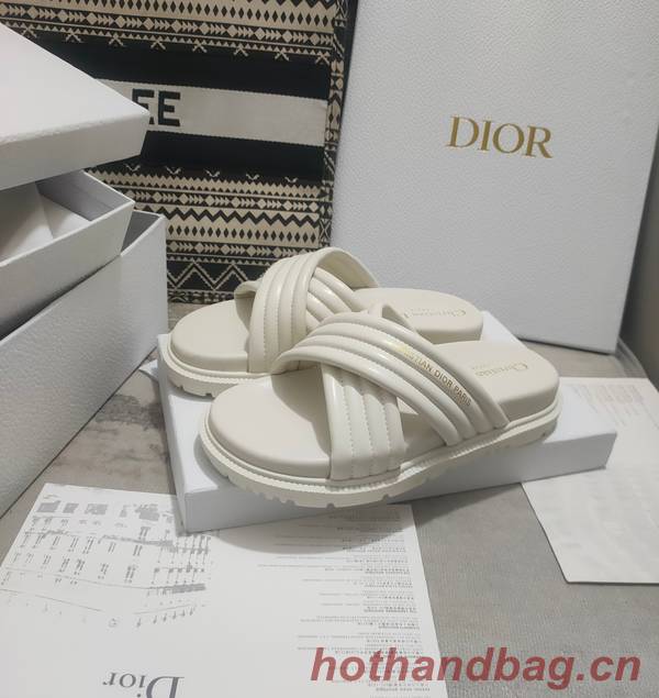 Dior Shoes DIS00309