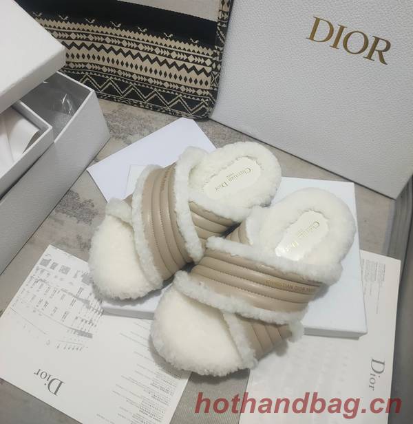 Dior Shoes DIS00311