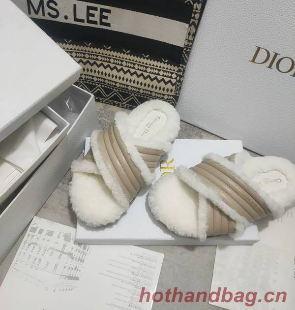 Dior Shoes DIS00311