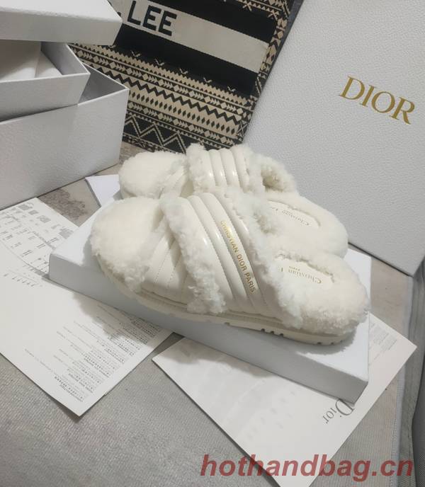 Dior Shoes DIS00312