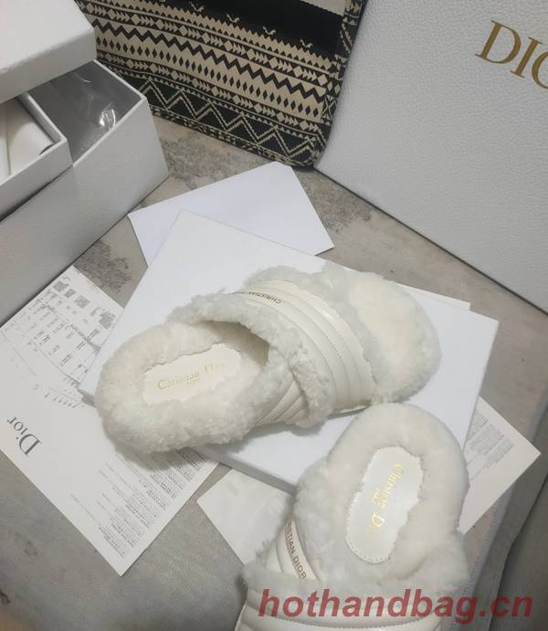 Dior Shoes DIS00312