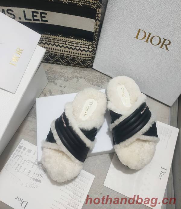 Dior Shoes DIS00313