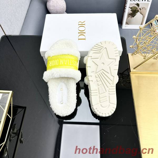 Dior Shoes DIS00322