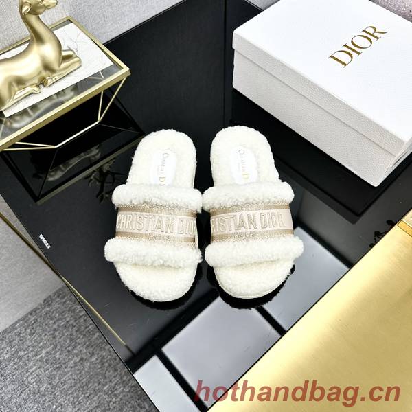 Dior Shoes DIS00325