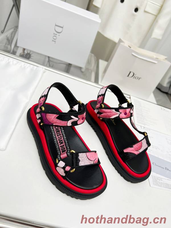 Dior Shoes DIS00344