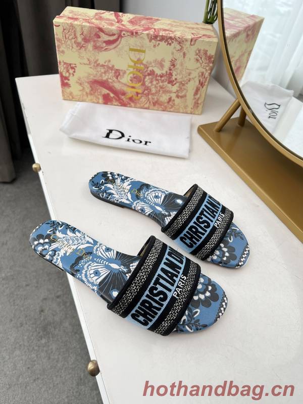 Dior Shoes DIS00349