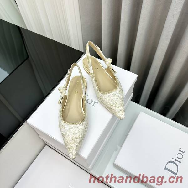 Dior Shoes DIS00359