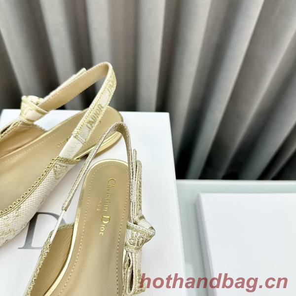 Dior Shoes DIS00359