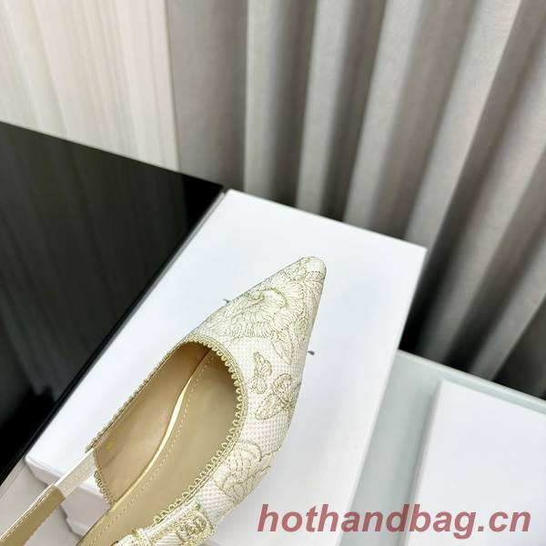 Dior Shoes DIS00359