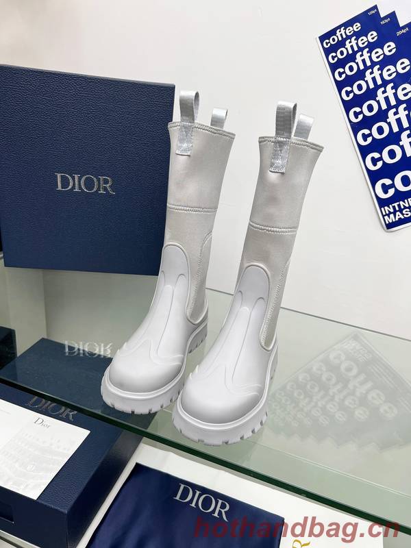 Dior Shoes DIS00413