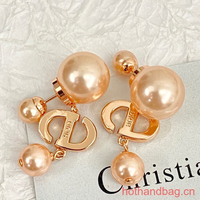 Dior Earrings CE13059