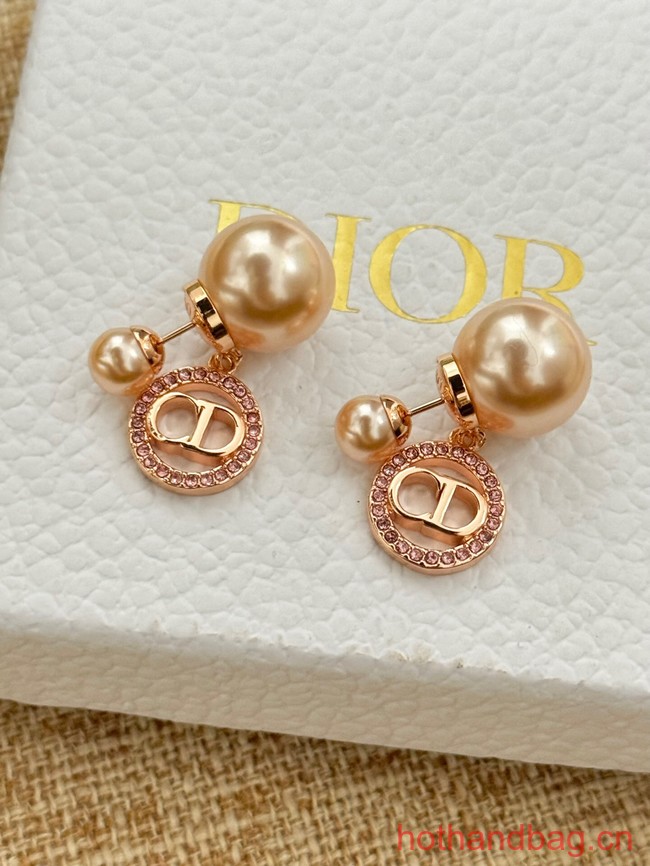 Dior Earrings CE13075