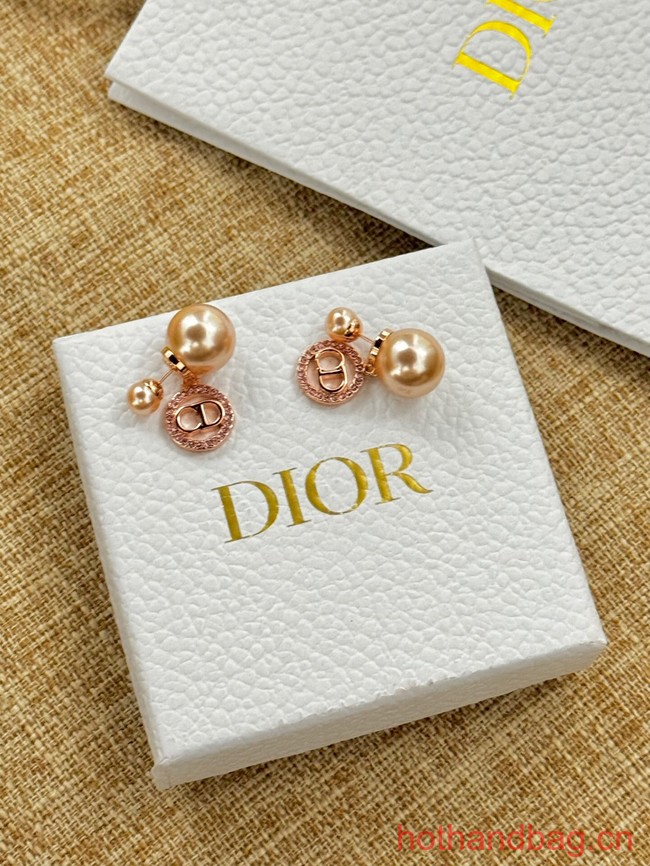 Dior Earrings CE13075
