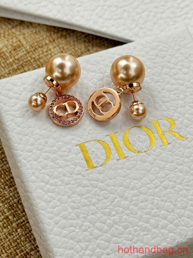 Dior Earrings CE13075