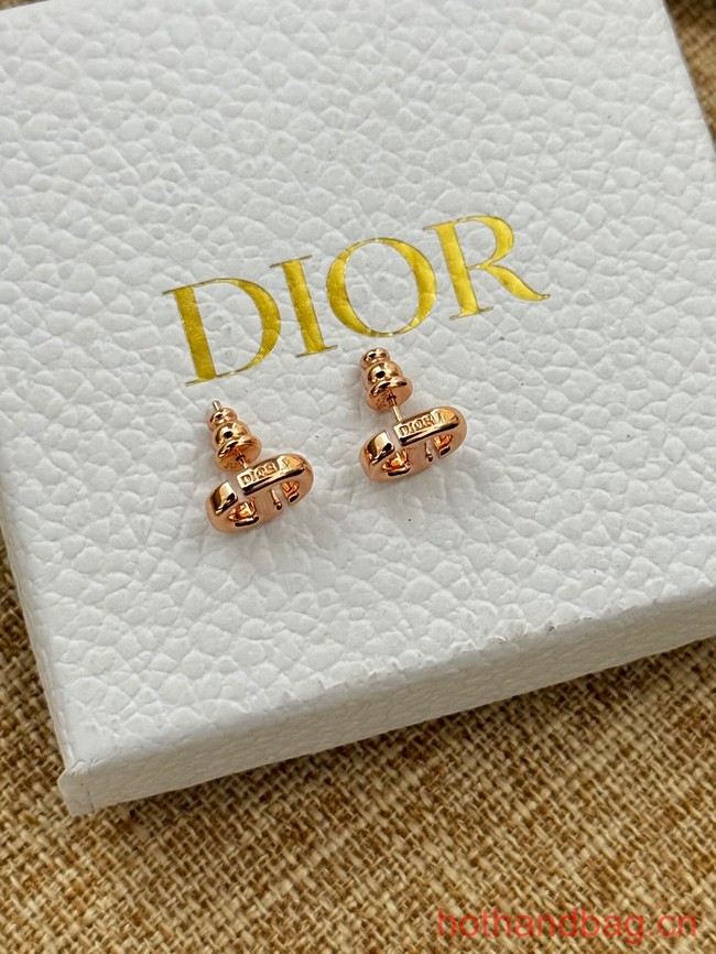 Dior Earrings CE13077