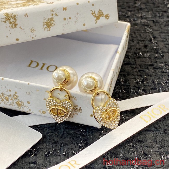 Dior Earrings CE13093