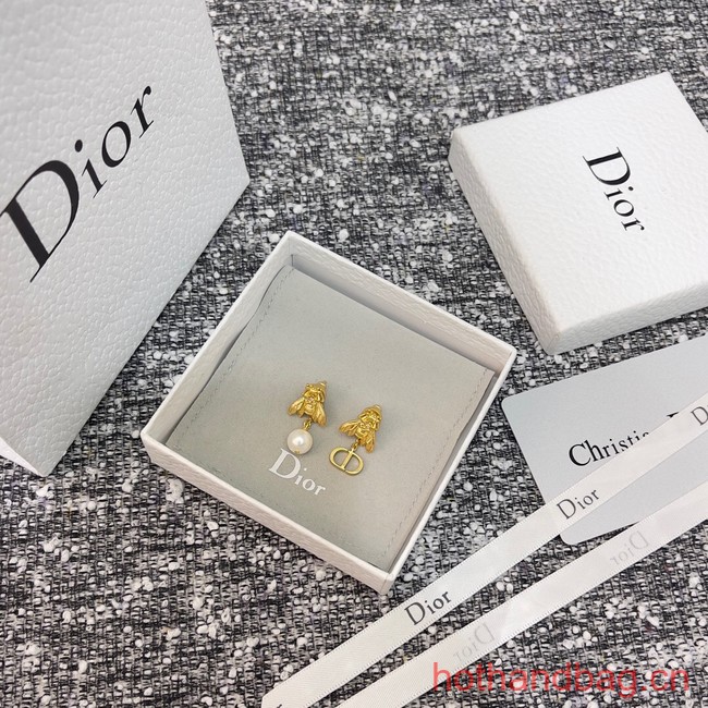 Dior Earrings CE13106