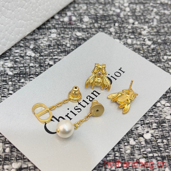 Dior Earrings CE13106