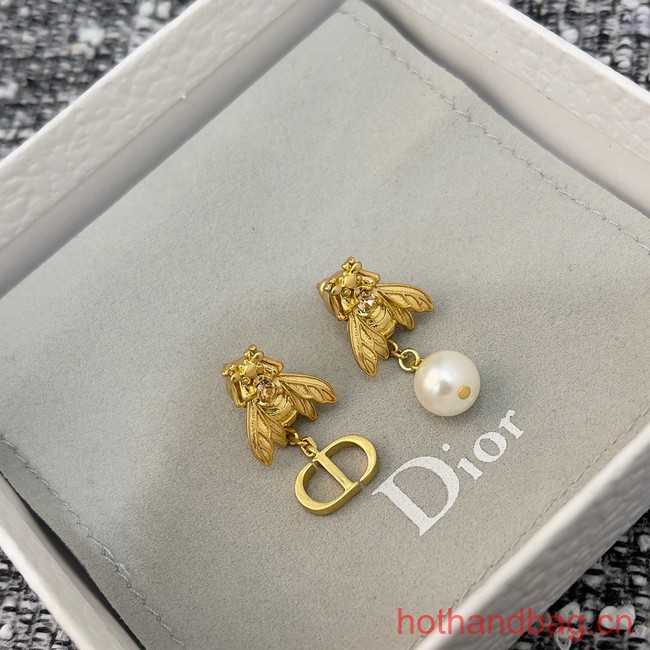 Dior Earrings CE13106