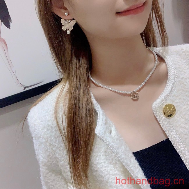 Dior Earrings CE13107