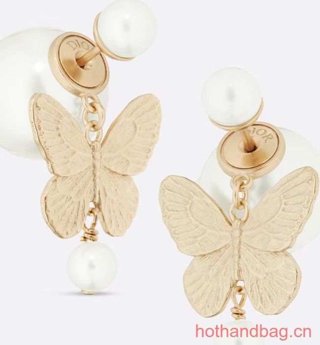 Dior Earrings CE13107