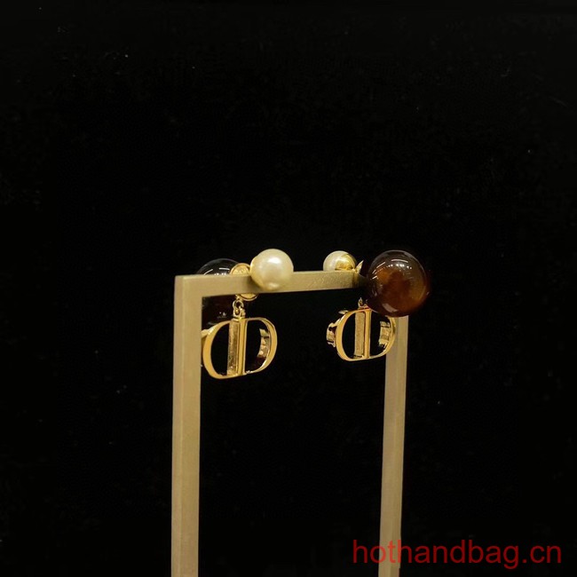 Dior Earrings CE13119