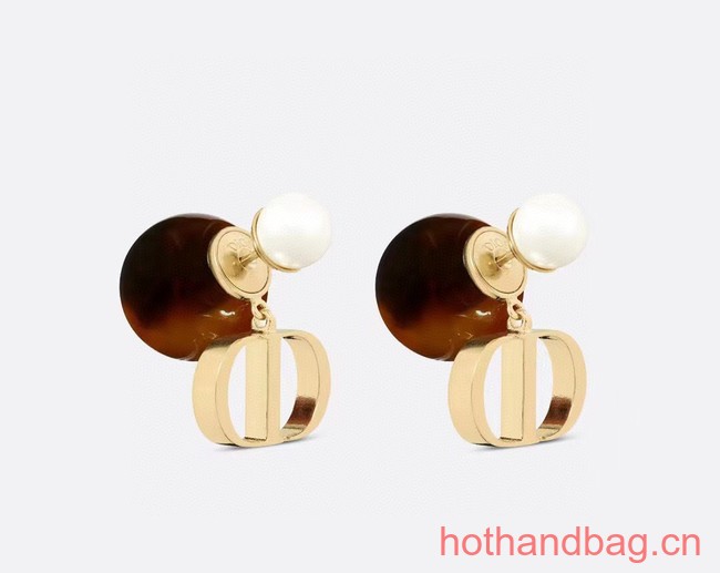 Dior Earrings CE13119