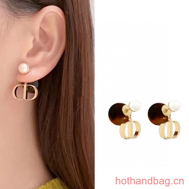 Dior Earrings CE13119