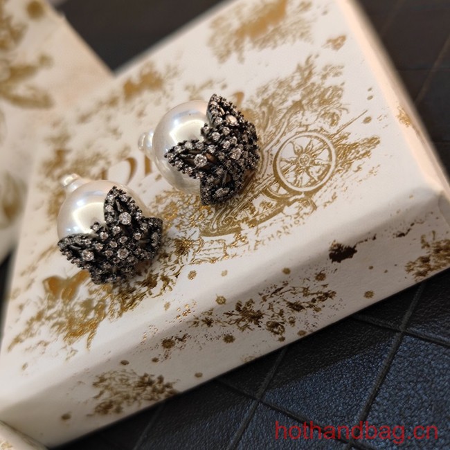 Dior Earrings CE13120