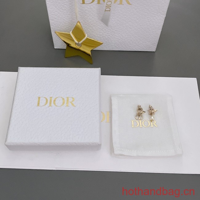 Dior Earrings CE13129