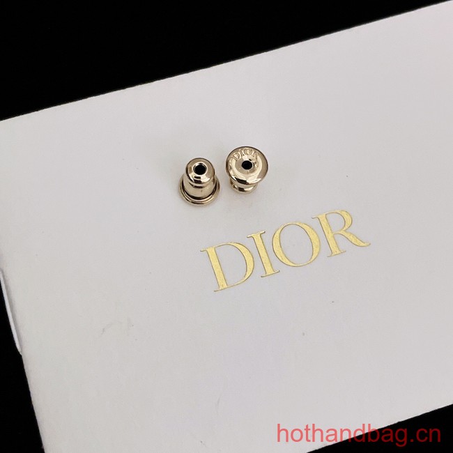 Dior Earrings CE13129