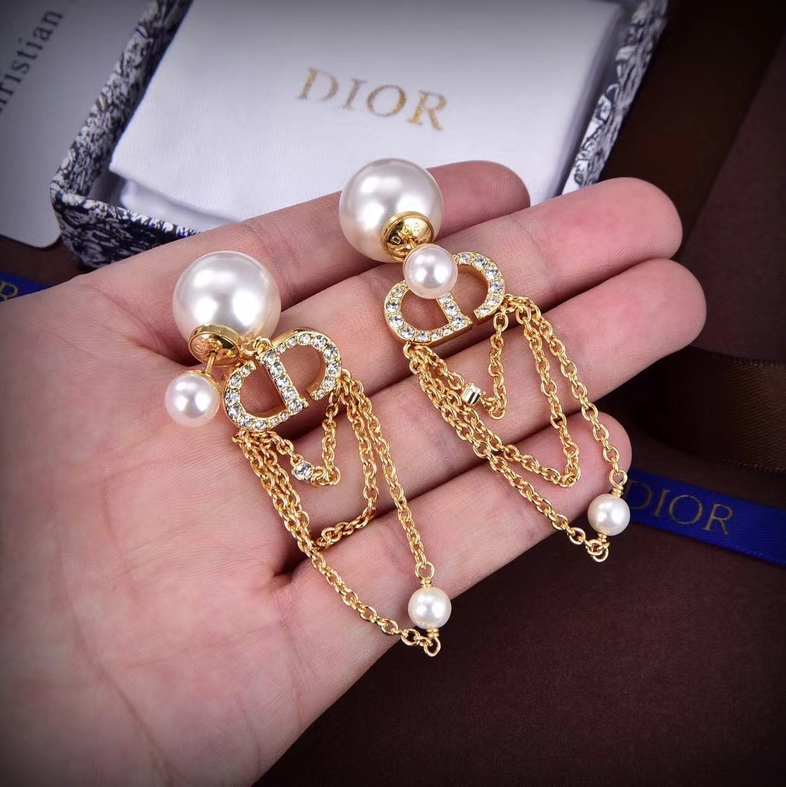 Dior Earrings CE13192