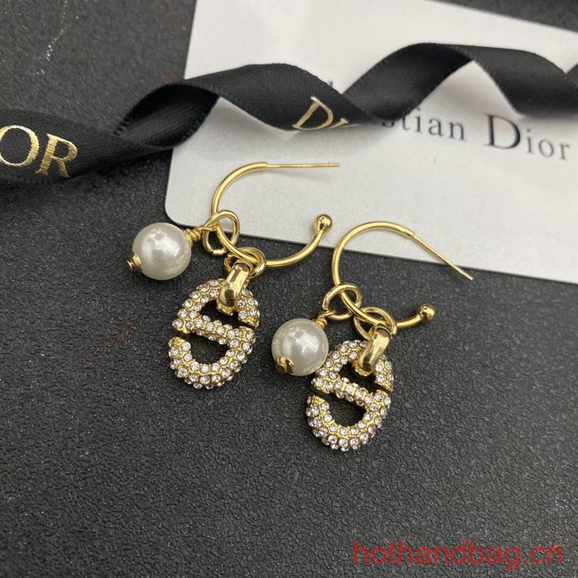 Dior Earrings CE13203
