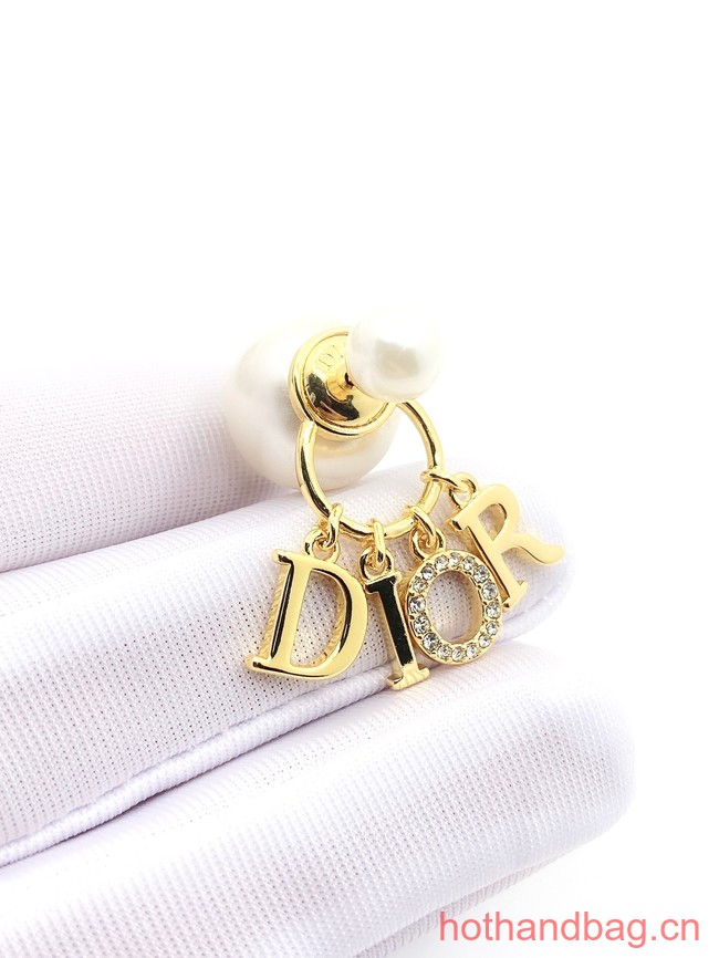 Dior Earrings CE13250