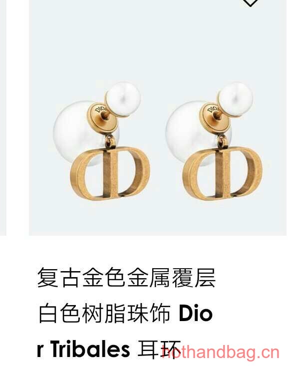 Dior Earrings CE13294