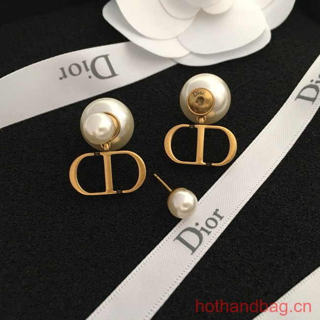 Dior Earrings CE13294