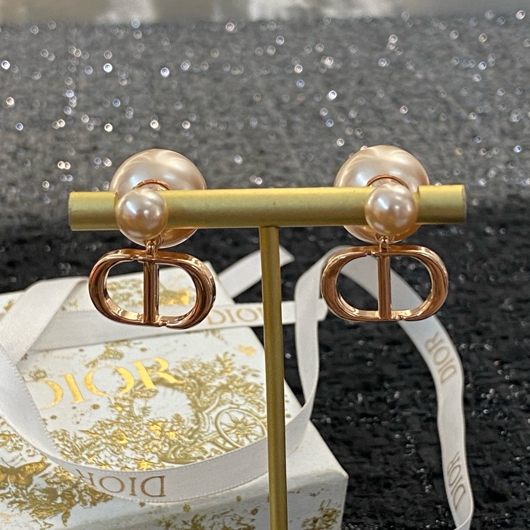 Dior Earrings CE13325