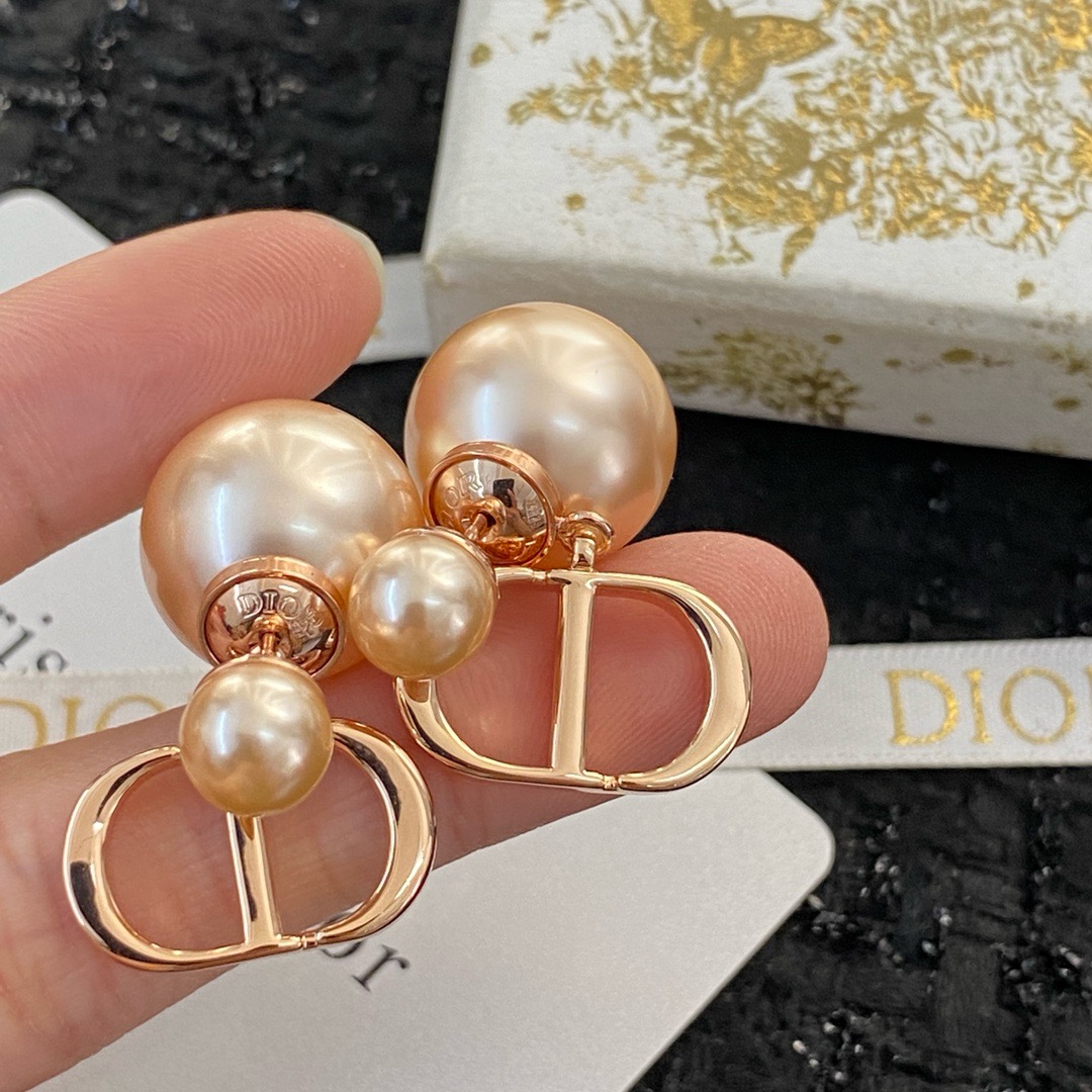 Dior Earrings CE13325