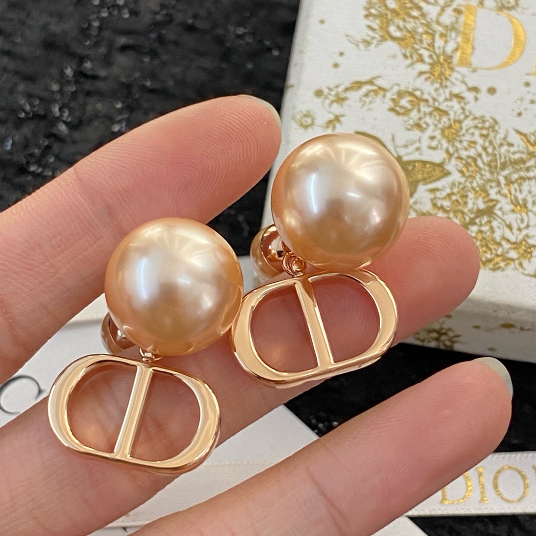 Dior Earrings CE13325