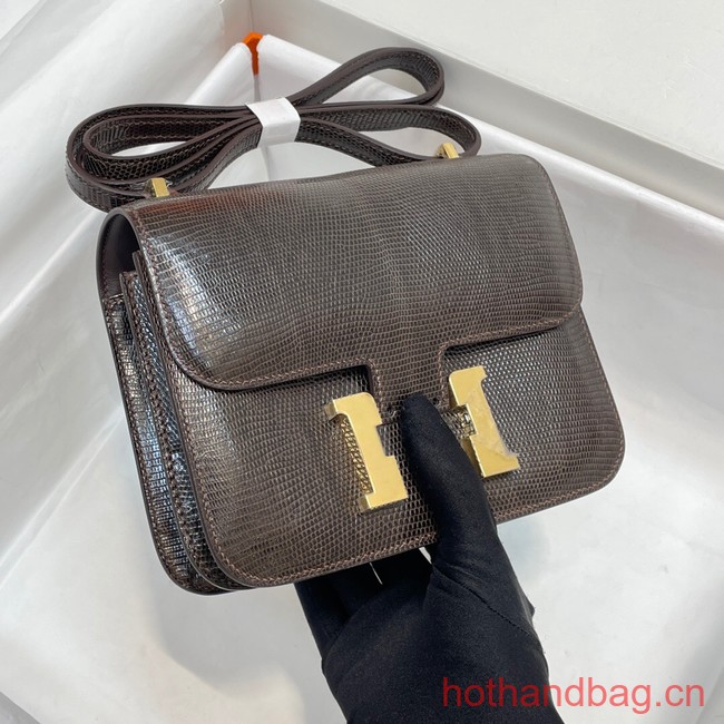 Hermes Original Lizard skin Constance Bag BK7828-3